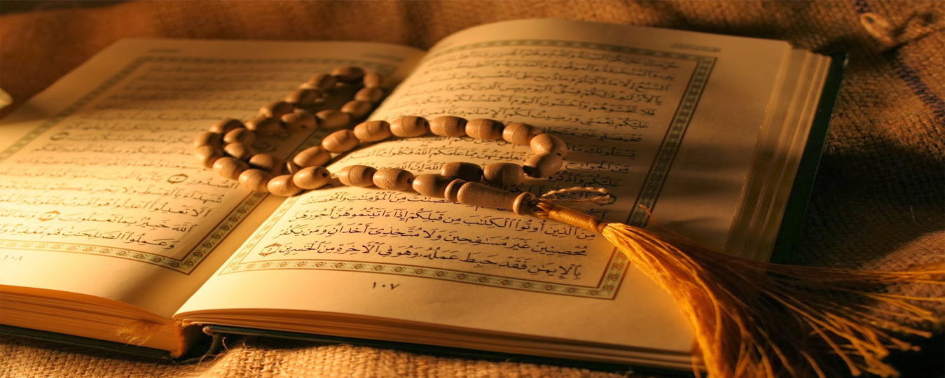 Interesting Stories From The Quran — Curious Halt